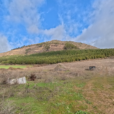 Oteiza de Berrioplano