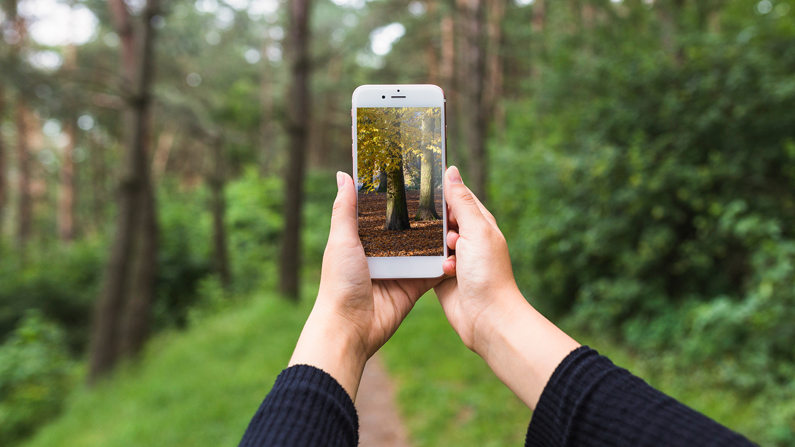 Imagen de presentación del vídeo